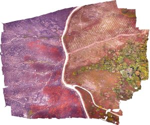 Imagen de dron de los incendios que forman parte del estudio